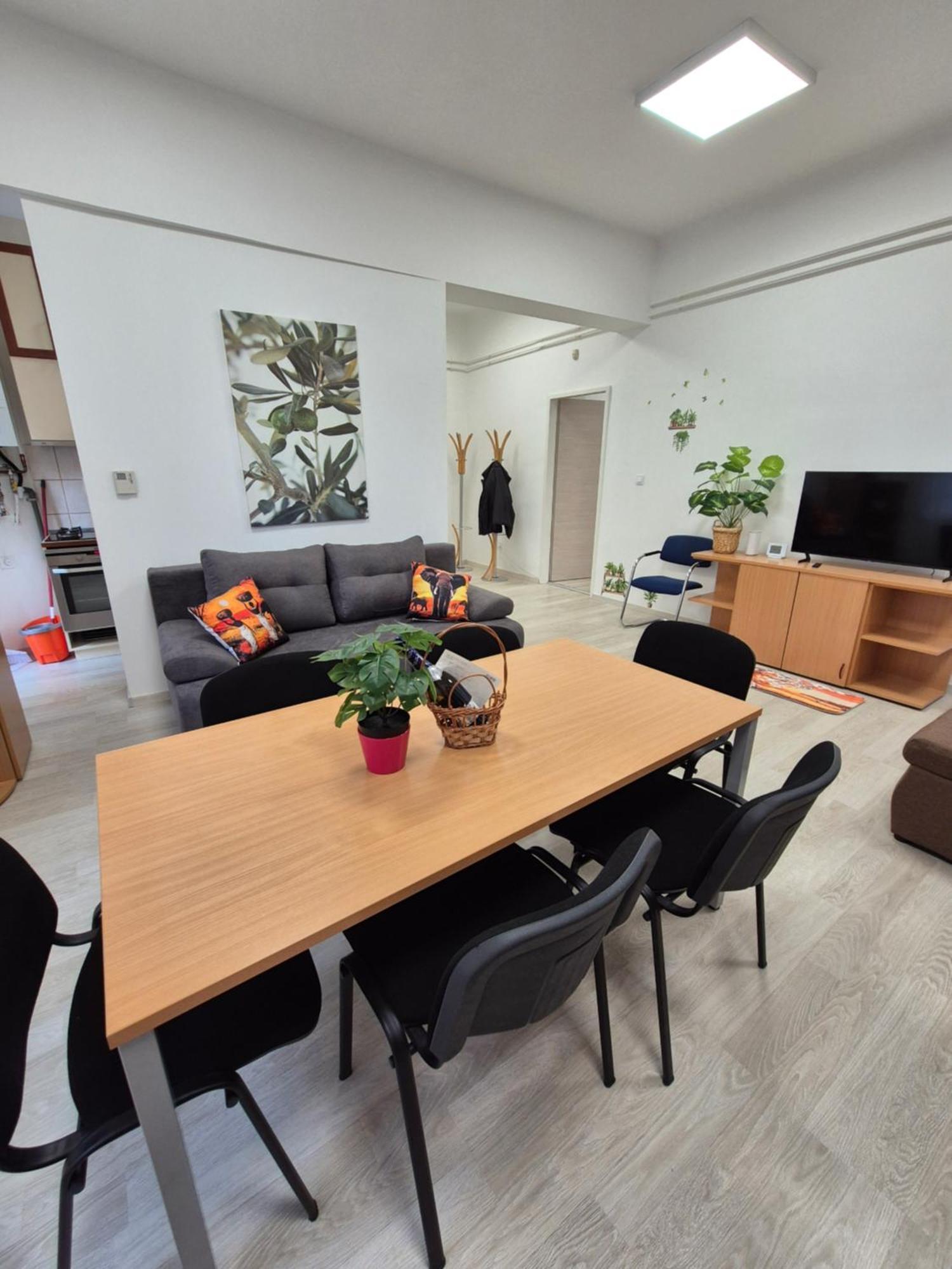 Safari Apartamento *